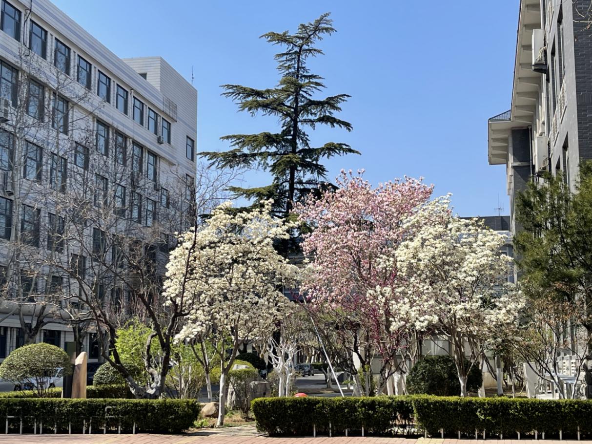 山东省济南第一中学 校园新闻 百廿名校添荣光 文明花开满校园 济南一中荣膺“全国文明校园”称号